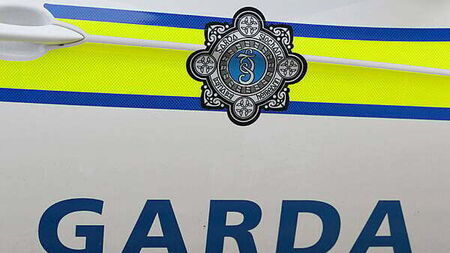 Man (30s) seriously injured in Kildare assault