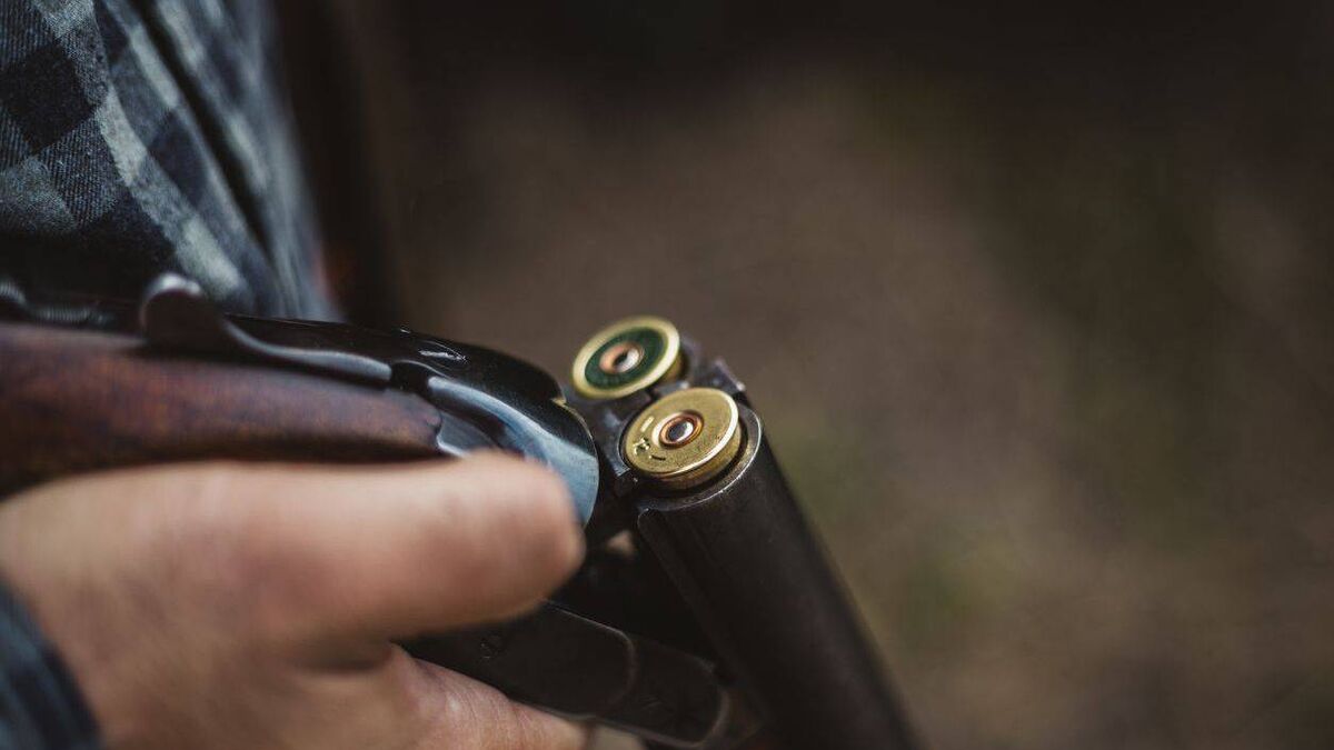 Laois man told judge he was ‘using gun as shield, not sword’