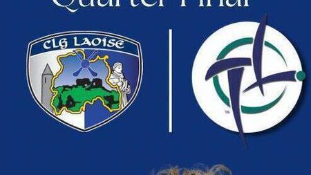 McNulty makes two changes for Sunday’s Leinster quarter-final