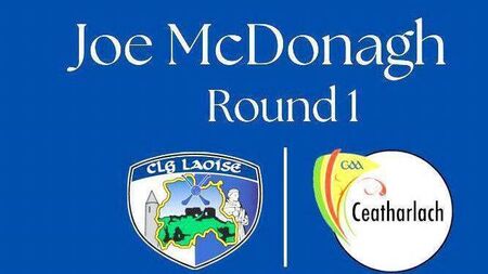 Fitzgerald names team named to play Carlow in the opening round of the Joe McDonagh Cup