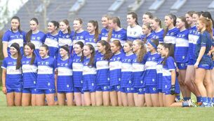 <p>The Laois LFGA minor team which beat Kildare in an extra time thriller to reach the Leinster final at Annanough GAA on Sunday Photo: Denis Byrne</p>