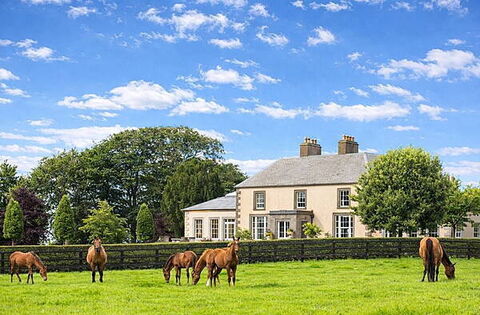 Three country estates showcasing Ireland’s equestrian tradition