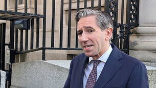 Number of people arriving in Ireland without documents down by a third – McEntee