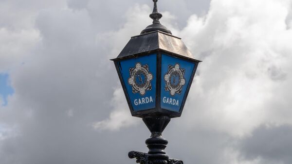 Landscaper guilty of €50k swindle on elderly woman
