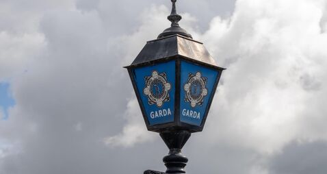 Landscaper guilty of €50k swindle on elderly woman 