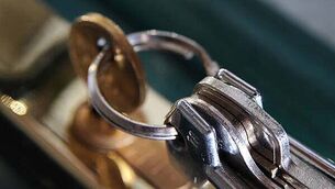 Dublin Zoo announces free entry for children in costumes for bank holiday weekend