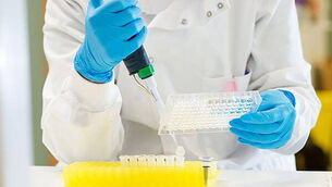 ‘Substantial shift’ among EU states on Israel, says McEntee