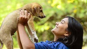 Only one victim provides statement in ex-gardaí PULSE data breach case