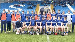 <p>Laois U/20 hurling team 	 Photo: Denis Byrne </p>