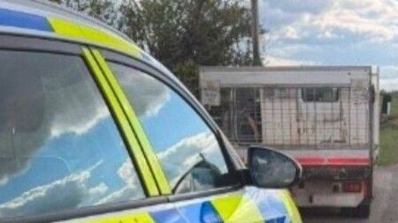 Lorry driver on phone arrested by Laois gardaí