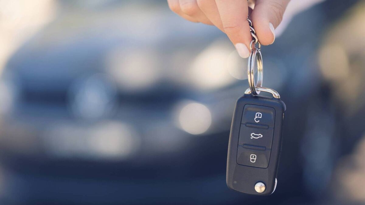 Woman abandons car to the state, Laois court hears