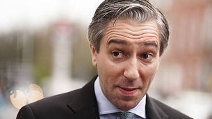 Woman who alleged brain injury in zorb ball settles case for €1m