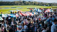 Punchestown Festival on course to surpass golden benchmark