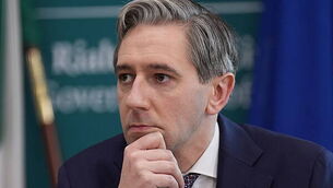 Murder investigation launched after boy (4) and woman (60) killed in Offaly house fire