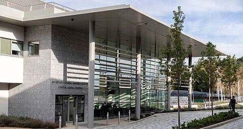 Mullingar man who attacked vulnerable brother with hammer committed to Central Mental Hospital