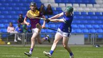 Wexford’s blistering start with 2-15 up on the board with just 15 minutes played was a sign of things to come 