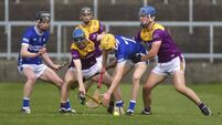 Wexford’s blistering start with 2-15 up on the board with just 15 minutes played was a sign of things to come 