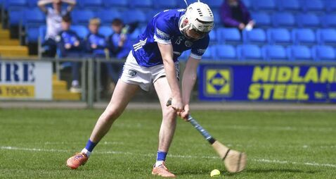 Laois no match physically for Wexford who had a ruthless streak in them