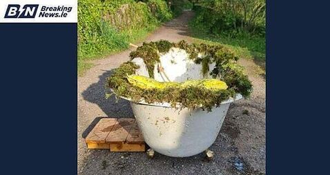 Waterford-based visual artist wins tax battle with Revenue over bathtub sculpture