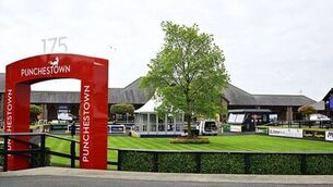 <p>Punchestown is all ready for the opening day of the 2026 Festival Photo: Michael Chester </p>