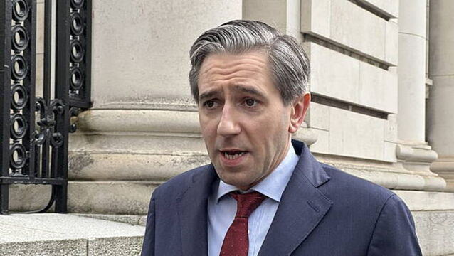 More fuel support measures possible before budget, says Simon Harris