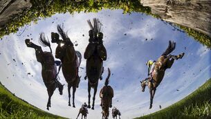 <p>The opening day of the 2026 Punchestown Festival 	 Photo: Patrick McCann/Racing Post</p>