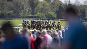 <p>A view from the Punchestown stand 	Photo: Patrick McCann/Racing Post </p>