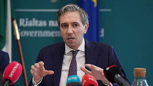 Government working on ’round of grants’ for specific businesses, Minister says