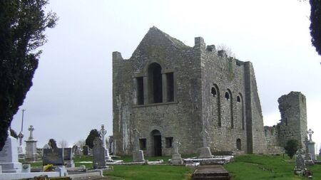 Woman (79) stole lamps from Laois grave