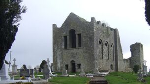 <p>The theft happened at Oakvale Cemetery in Stradbally. File image for illustration purposes</p>
