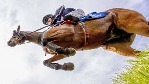 <p>Darragh O’Keeffe on Busselton clears Ruby’s Double on their way to winning The Mongey Communications La Touche Cup Cross Country Steeplechase 	 Photo: ©INPHO/Morgan Treacy</p>