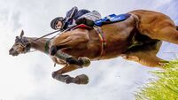O’Keeffe lands La Touche to keep on Kennedy’s coattails 