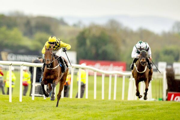 Harry Cobden on Salvator Mundi wins The Barberstown Castle Novice Steeplechase 	 Photo: ©INPHO/Morgan Treacy