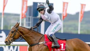 <p> Darragh O'Keeffe on Bob Olinger celebrates winning The Ladbrokes Champion Stayers Hurdle 	 Photo: ©INPHO/Morgan Treacy</p>