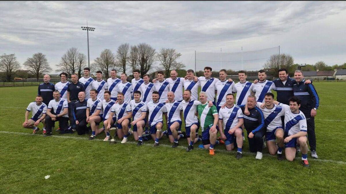 Laois contingent help Pfizer win All-Ireland title