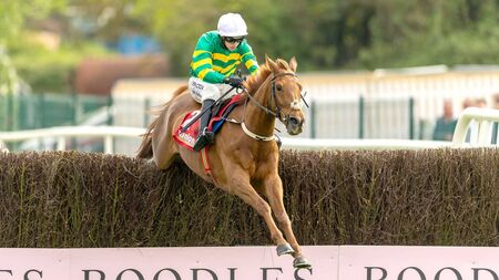 900 not out for Walsh at Punchestown