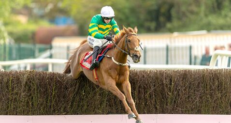900 not out for Walsh at Punchestown 