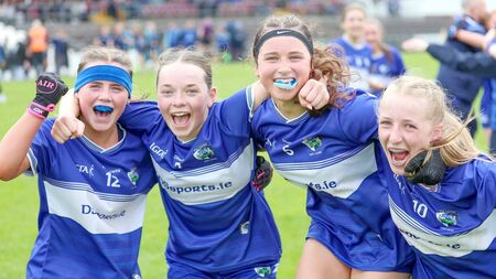 Delaney does the damage as Laois are crowned Leinster champions