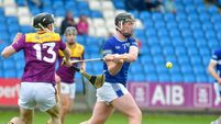 Laois exit the Leinster championship at the hands of ruthless Wexford 