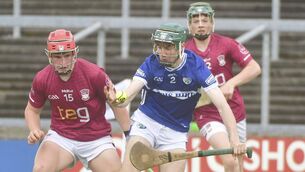 <p>Laois's Conor Hickey wins the race to gather this sliotar 	 Photo: Denis Byrne</p>