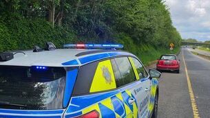 <p>The Mini driver was seven times the legal alcohol limit, according to gardaí. Photo: An Garda Síochána Laois Offaly</p>