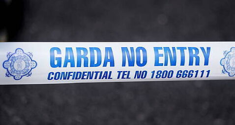 Man and woman arrested after gardaí recover firearms and replica grenade in Wicklow