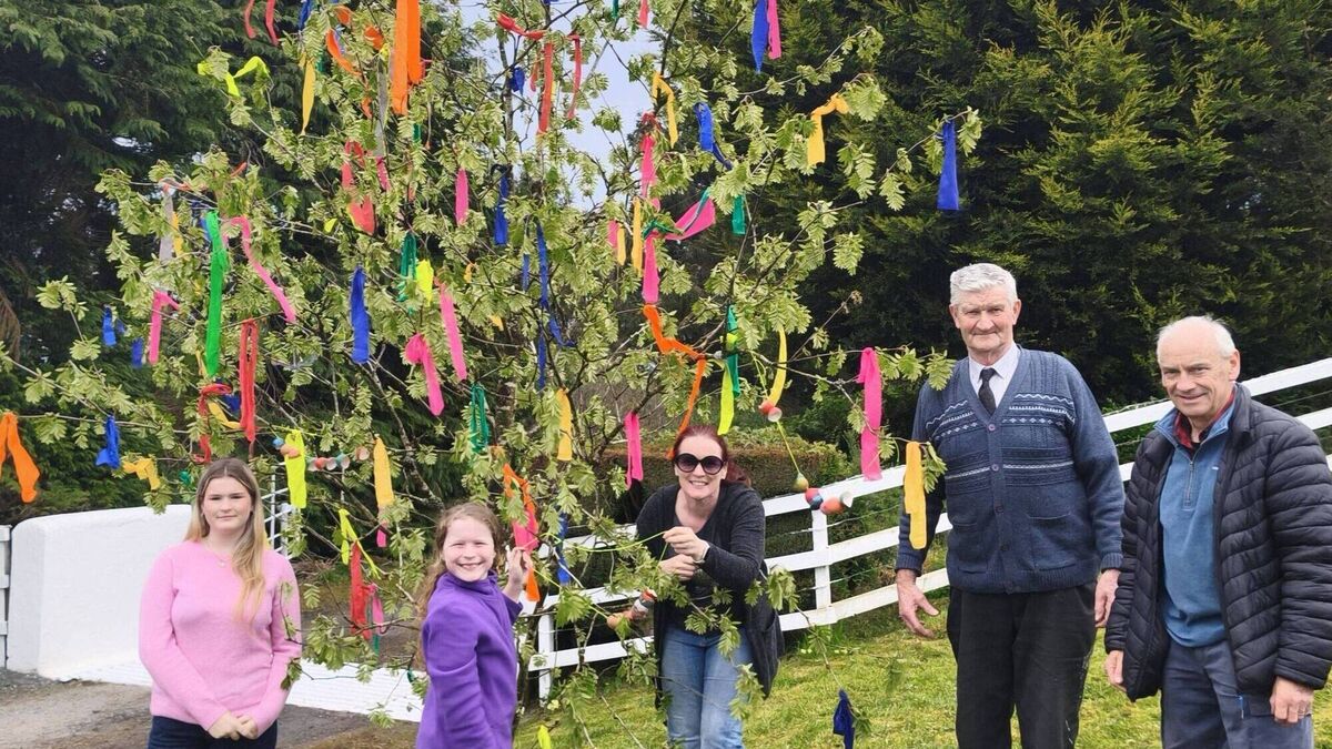 May Bush still blooms in Laois after 55 years