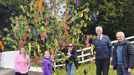 May Bush still blooms in Laois after 55 years