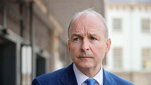Hantavirus 'not the same as Covid' and Ireland would be 'very well prepared', says professor