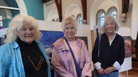 Stunning bog paintings in new Laois show