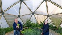 Men's Sheds in Laois get funding windfall