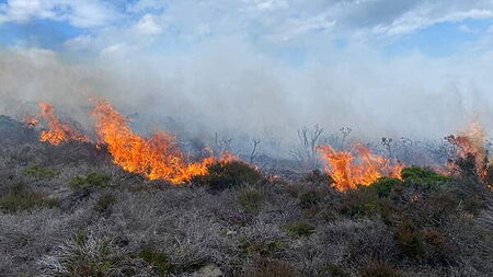 Dublin fire brigade battling gorse fire on Killiney Hill