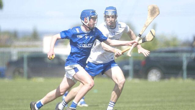 Fighting Laois comeback not enough as Waterford prevail