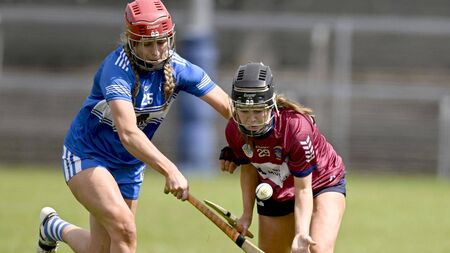 Persistence pays off as Laois capture Leinster camogie crown